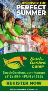 Busch Gardens Summer Camp