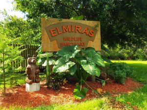Elmiras Tour.jpg