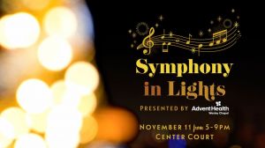 Symphony in Lights.jpg