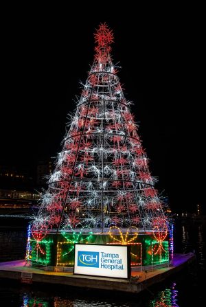 Riverwalk Tree Lighting.jpg