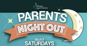 Screenshot 2026-02-13 124517.png