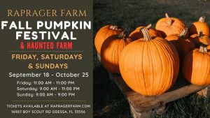 pumpkin.jpg