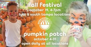 Annual-pumpkin-patch-and-fall-festival-at-Watermelon-Swim.jpg