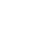 Animal Encounters