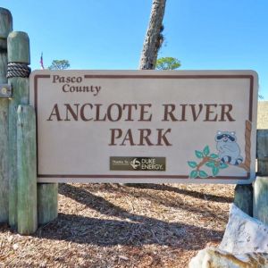 Gulf Coast - Anclote River Park