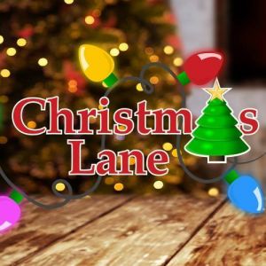 11/29 - 12/24 Christmas Lane at Florida Strawberry Festival Grounds