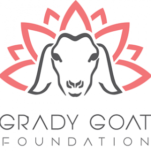 Grady Goat Yoga Tampa Bay Birthday Parties