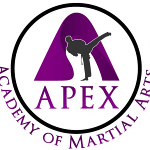 Apex Academy of Martial Arts Camp