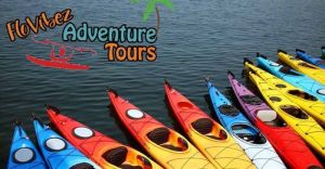 FloVibez Adventure Tours