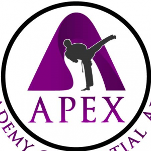 Apex Academy of Martial Arts
