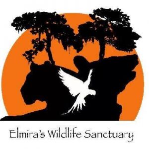 Elmira Wildlife Sanctuary