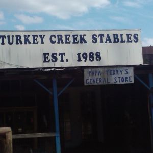 Turkey Creek Stables Parties