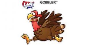 11/22 Ellis-Methvin Park Gobbler 5K and 10K