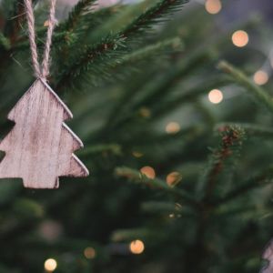 Shops at Wiregrass Christmas Tree Lot