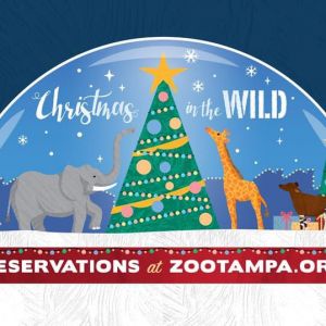 Zoo Tampa at Lowry Park Christmas in the Wild