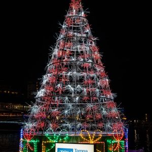 11/29 - 01/02 Tampa Riverwalk Holiday Spectacular