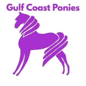 Gulf Coast Ponies