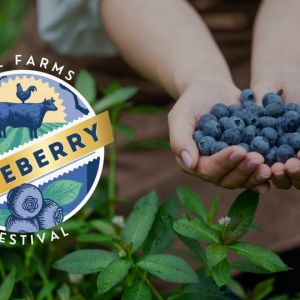 Keel Farms Blueberry Festival