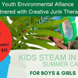 Youth Environment Alliance Summer Camp at Creative Junk Therapy