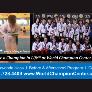 World Champion Center, A - Taekwondo School