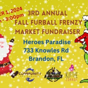 Heroes Paradise Furball Frenzy Market Fundraiser