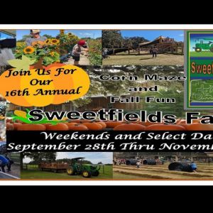 Sweetfields Farm Fall Festival, Corn Maze and Pumpkin Patch