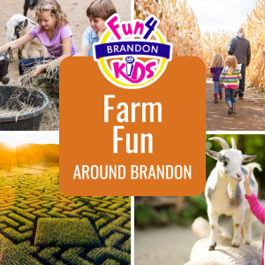 Visit Corn Mazes and Have Farm Fun