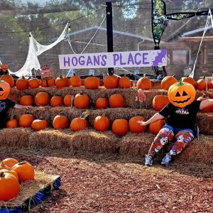 Hogan's Place Fall Festival