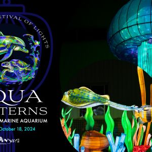 Clearwater Marine Aquarium Aqua Lanterns: a Chinese Festival of Lights