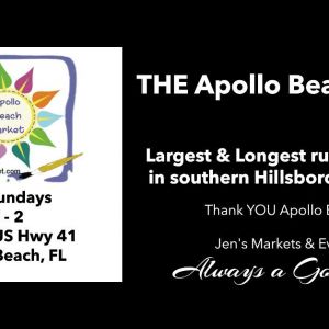 11/17 and 12/15 The Apollo Beach Market