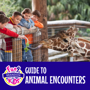 Animal Encounters Near Brandon & Riverview