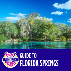 Florida Springs Near Tampa Bay