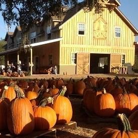 Sweetfields Farm Fall Festival, Corn Maze and Pumpkin Patch