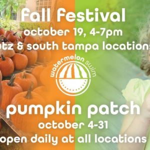 10/03 - 10/31 Watermelon Swim Pumpkin Patch