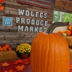 10/01 - 10/31 Wolfe's Produce Market Pumpkin Patch