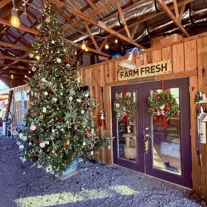 12/06 First Ladies Farm and Sanctuary Art on the Farm Holiday Art and Crafts Festival