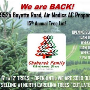 Chaberek Family Christmas Trees