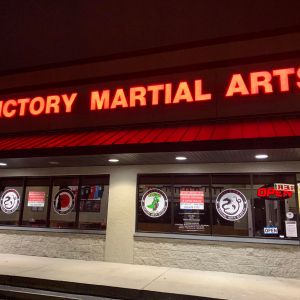 Victory Martial Arts Academy Spring Break Camp