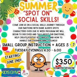 We Rock the Spectrum Kids Gym Summer Social Skills