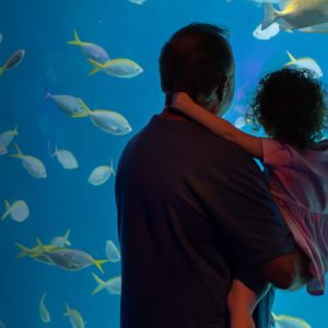 6/21 Florida Aquarium Father's Day BOGO