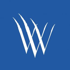 The Woman's Group