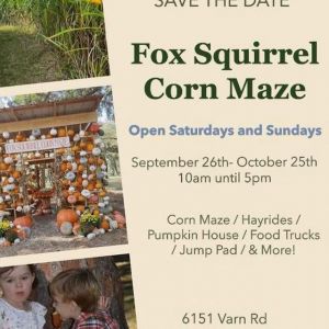 Fox Squirrel Corn Maze
