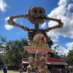 HarvestMoon Farm Fall Festival