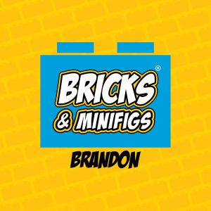 Bricks & Minifigs