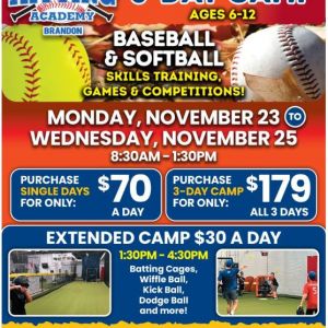 Hitting Academy, The  Baseball and Softball Thanksgiving Camp
